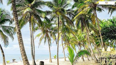 The Coconut Beach Boutique Lodge & Spa common_terms_image 4