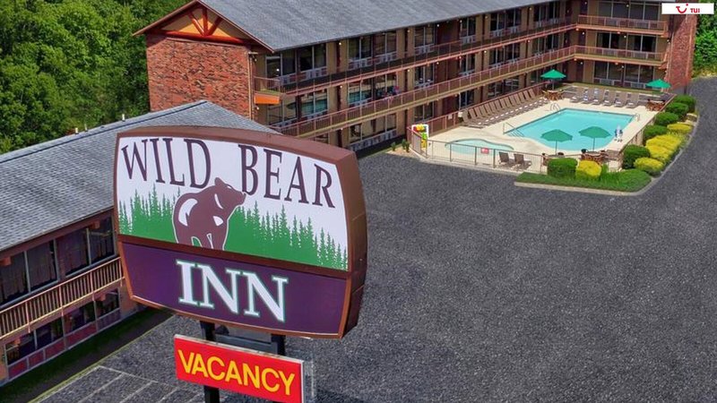 Wild Bear Inn common_terms_image 1