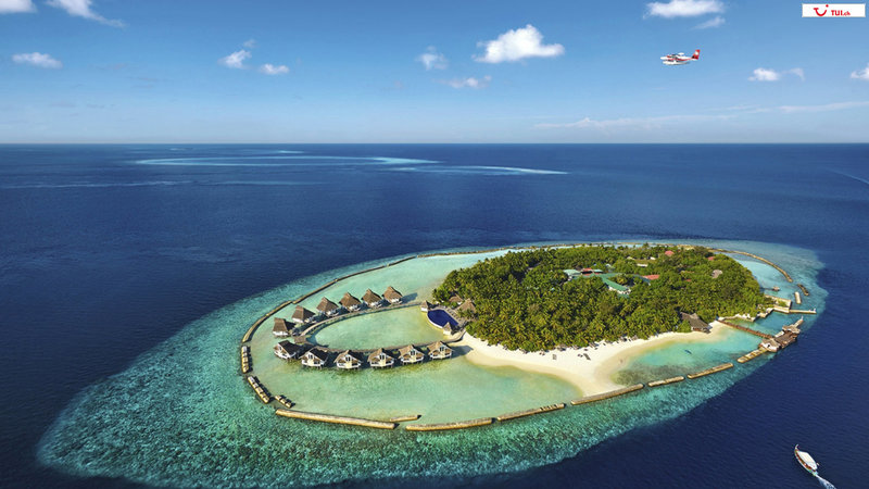 Ellaidhoo Maldives by Cinnamon common_terms_image 1