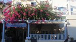Narkissos Hotel common_terms_image 1