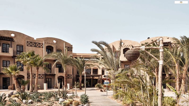 Cook's Club El Gouna common_terms_image 1