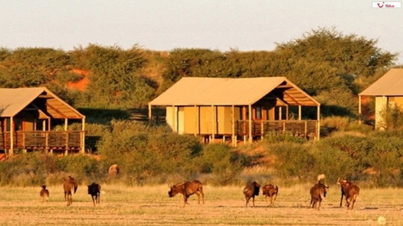Intu Afrika Kalahari Suricate Tented Lodge common_terms_image 1