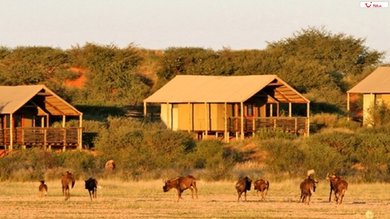 Intu Afrika Kalahari Suricate Tented Lodge common_terms_image 4