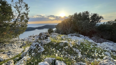 Inselhüpfen mit dem Fahrrad durch Mittel- & Süd-Dalmatien mit Dubrovnik – Radreise common_terms_image 2