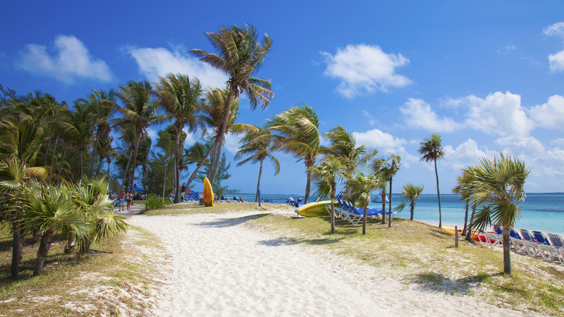 Karibik & Miami – Kreuzfahrt common_terms_image 1