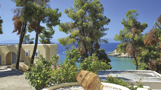 Griechenland – Alonissos - 4* Alonissos Beach Bungalows & Suites Hotel common_terms_image 3