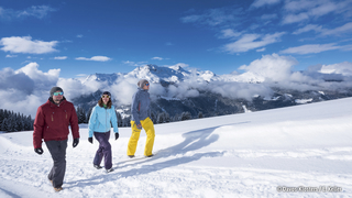 Schweiz – Erlebnisreise Graubünden – Davos – 3* Clubhotel Davos common_terms_image 3