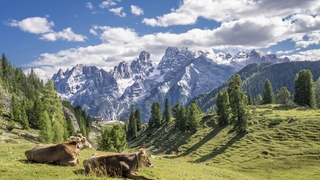 Dolomiten Trekking – Wanderreise in Südtirol common_terms_image 3