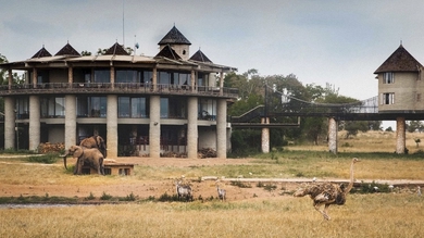 Kenia - Baden & Safari common_terms_image 4