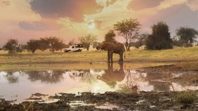 Kenia - Baden & Safari common_terms_image 2
