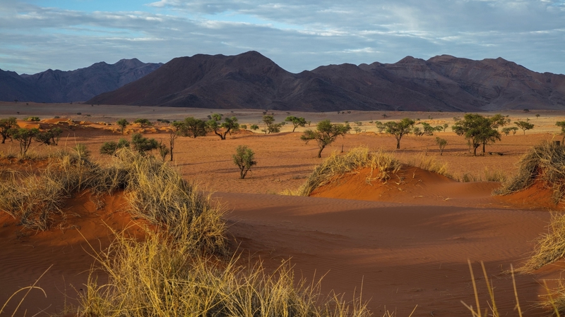 Namibia - Roadtrip mit Glamping common_terms_image 1