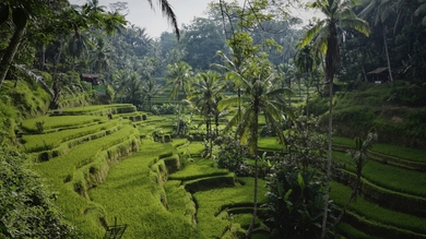 Indonesien & Bali - Rundreise &  Baden common_terms_image 3