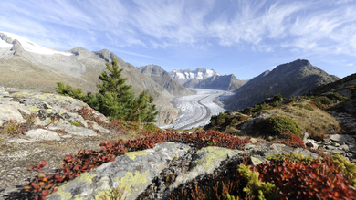 Oberwallis - Matterhorn, Aletschgletscher und Furka Dampfbahn common_terms_image 3