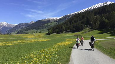 Radreise - Österreich &  Italien - Etsch-Radweg common_terms_image 3