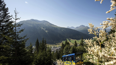 Graubünden - Bahn-Erlebnisreise in der Schweiz common_terms_image 3