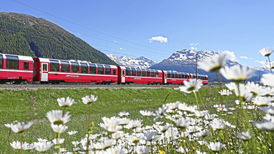 Graubünden - Bahn-Erlebnisreise in der Schweiz common_terms_image 2